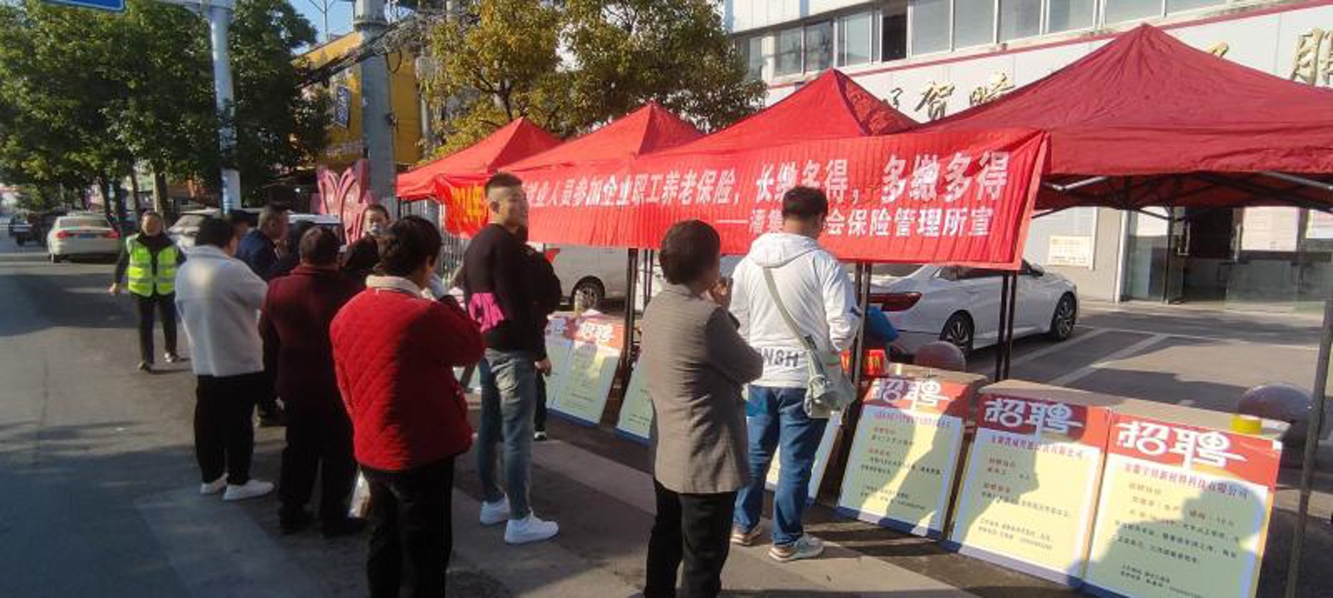 芸飞杨图文