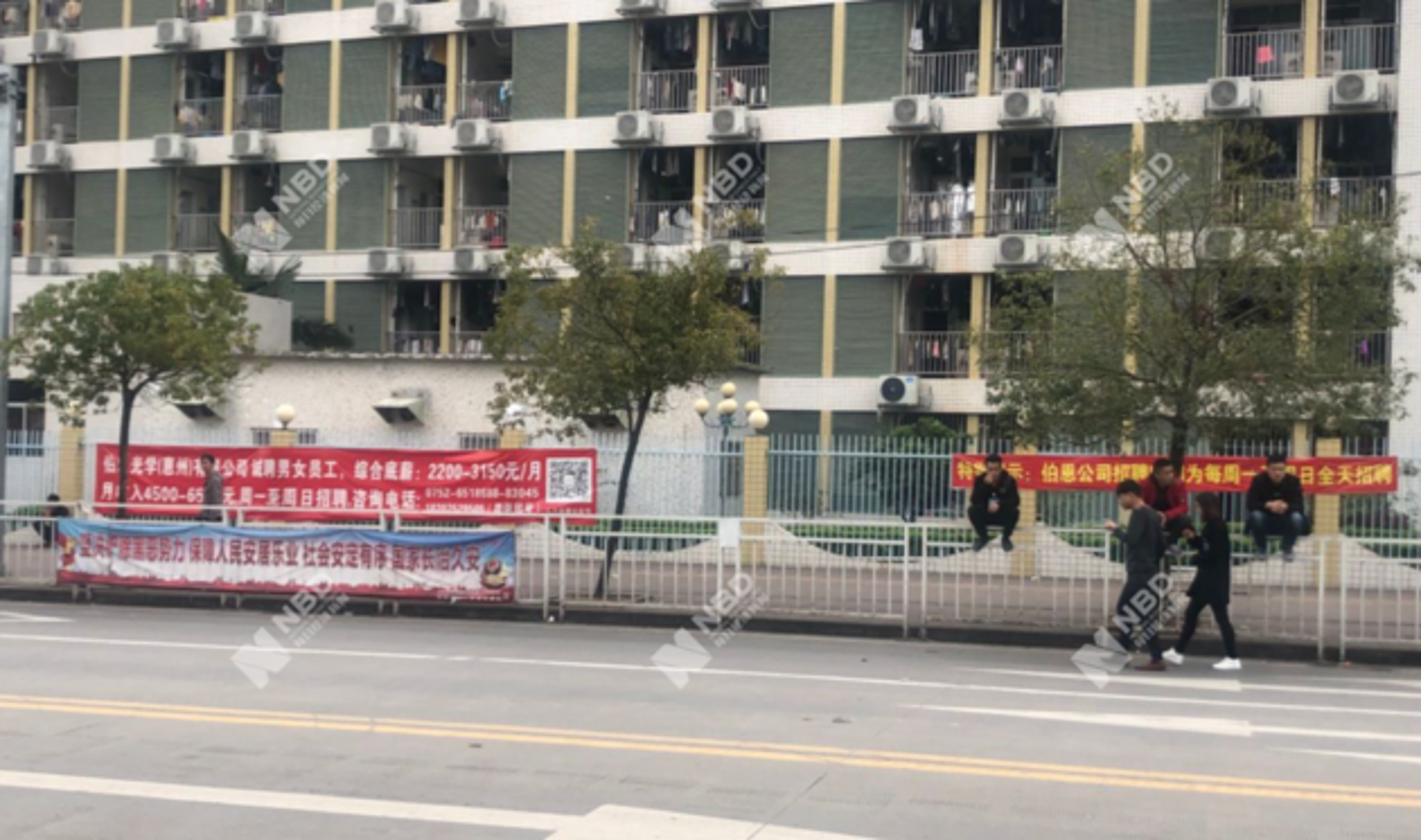芸飞杨图文